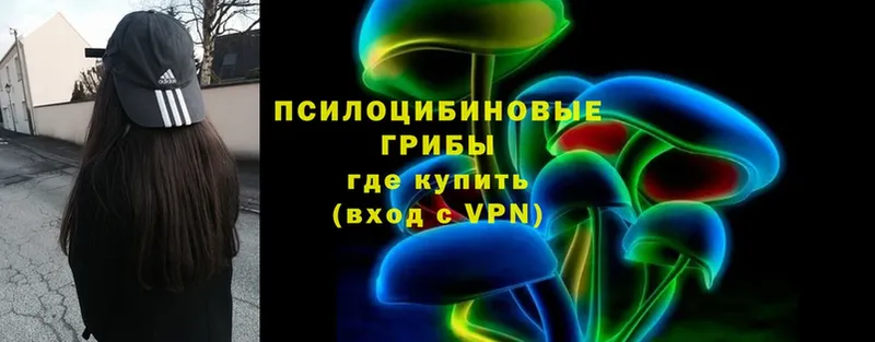 дарнет шоп  Серов  Псилоцибиновые грибы Magic Shrooms 